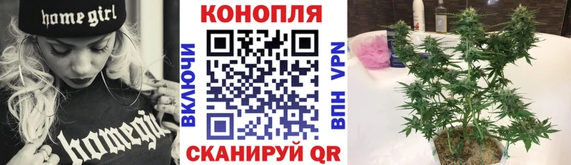 где можно купить   Аксай  Бошки Шишки план 